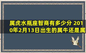 属虎水瓶座智商有多少分 2010年2月13日出生的属牛还是属虎